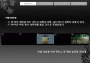 미국의 아동학대에 대한 총 보고서 8페이지