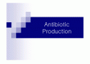 Antibiotic Production(항생제 산업) 1페이지