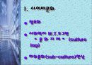 인터넷 사이버 문화의 문제점과 미래 3페이지