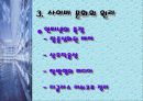 인터넷 사이버 문화의 문제점과 미래 5페이지