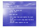 인터넷(사이버) 문화의 특징과 문제점  3페이지