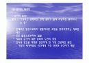 인터넷(사이버) 문화의 특징과 문제점  10페이지