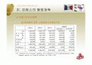 프랑스와 한국의 행정개혁 비교  24페이지