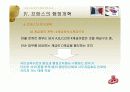프랑스와 한국의 행정개혁 비교  26페이지