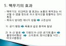 핵무기의 원리 및 종류 14페이지
