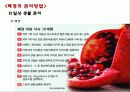 폐경과 노화 22페이지