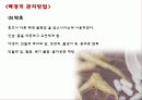 폐경과 노화 27페이지