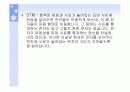 금 나노입자의 합성과 관찰 13페이지