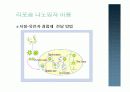 전달시스템 (Delivery system):Non-viral 에 관한 발표 8페이지