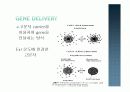 전달시스템 (Delivery system):Non-viral 에 관한 발표 15페이지