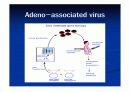 전달시스템(Delivery system)-viral system- 13페이지