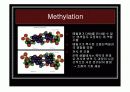 [나노]The control of gene expression (유전자 발현 조절) 에 관한 발표보고 8페이지