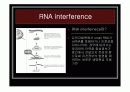 [나노]The control of gene expression (유전자 발현 조절) 에 관한 발표보고 10페이지