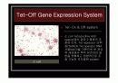 [나노]The control of gene expression (유전자 발현 조절) 에 관한 발표보고 13페이지