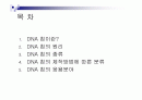 DNA칩의 원리,종류,응용분야에 관한 조사보고서 2페이지