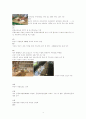 동물복지시설과 운영사례 3페이지