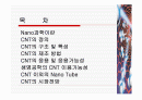 탄소나노튜브,CNT(Carbon Nano Tube) 및 그 밖의 Nano Tube에 대하여 2페이지