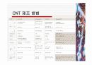 탄소나노튜브,CNT(Carbon Nano Tube) 및 그 밖의 Nano Tube에 대하여 11페이지