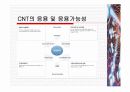 탄소나노튜브,CNT(Carbon Nano Tube) 및 그 밖의 Nano Tube에 대하여 12페이지