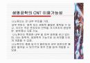 탄소나노튜브,CNT(Carbon Nano Tube) 및 그 밖의 Nano Tube에 대하여 13페이지
