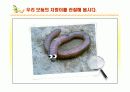 초등 과학 5학년 1학기 `9.작은 생물` 수업 7페이지