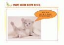 초등 과학 5학년 1학기 `9.작은 생물` 수업 8페이지