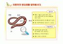 초등 과학 5학년 1학기 `9.작은 생물` 수업 9페이지