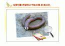 초등 과학 5학년 1학기 `9.작은 생물` 수업 12페이지
