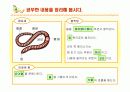 초등 과학 5학년 1학기 `9.작은 생물` 수업 13페이지
