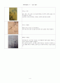 한국미술사 조선미술 그림정리 4페이지