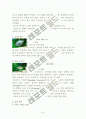 관상어류 고찰 3페이지