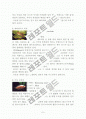 관상어류 고찰 5페이지