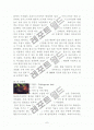 관상어류 고찰 6페이지