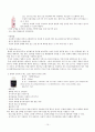 애완동물 제품의 비교분석 10페이지