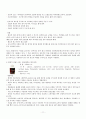 애완동물 제품의 비교분석 11페이지