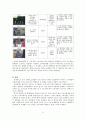 광고크리에이티브 분석 및 제언 19페이지