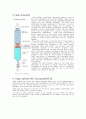Growth of Single Crystal(bulk, thin film, nanowire) 4페이지