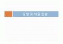 인터넷 마케팅 전략(국순당 분석을 통해) 7페이지
