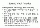 Arteriviridae 16페이지