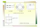 센서의 특성구조, 활용 시스템 20페이지