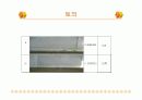 레이놀즈수 측정 실험 24페이지