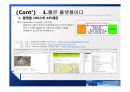 web2.0 집중 분석 11페이지