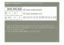 만성중이염 문헌고찰/간호사정 ppt ♥ 35페이지
