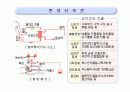 만성신부전 문헌고찰♥ 6페이지