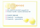 스포츠_영양학-비타민 8페이지
