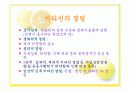 스포츠_영양학-비타민 17페이지