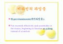 스포츠_영양학-비타민 18페이지