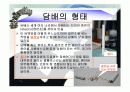 흡연의_위험성 11페이지