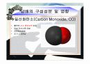 흡연의_위험성 13페이지