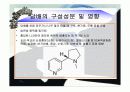 흡연의_위험성 15페이지